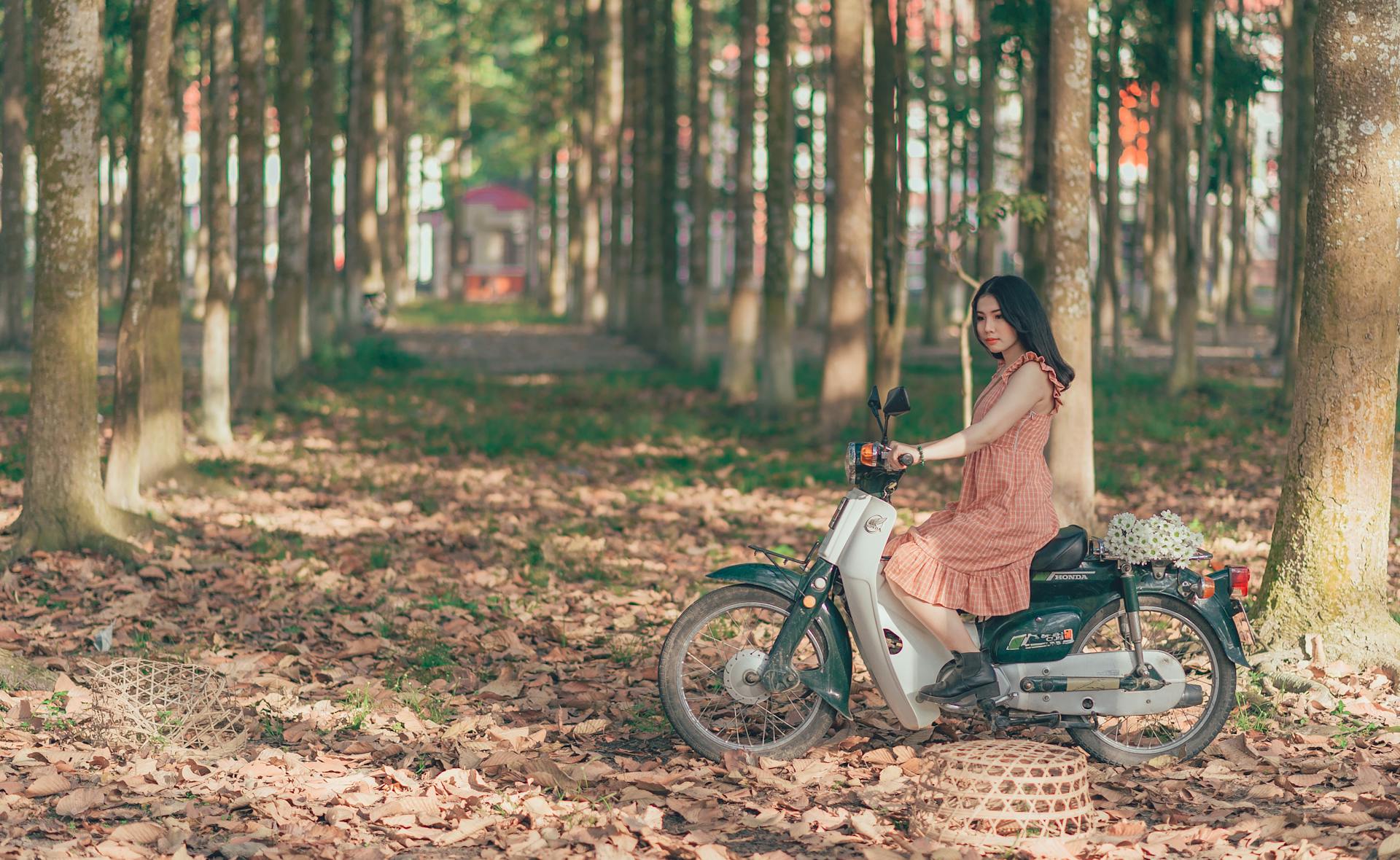 Xe máy, motorbike,  hàng cây, row of trees, rừng, forest, lá khô, dry leaves, người phụ nữ, woman - Min An