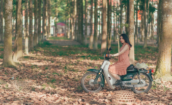 Xe máy, motorbike,  hàng cây, row of trees, rừng, forest, lá khô, dry leaves, người phụ nữ, woman - Min An