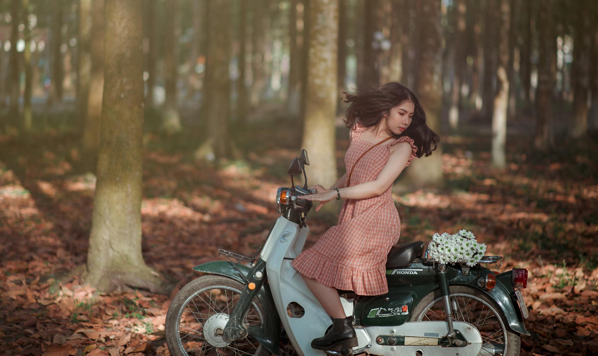 Xe máy, motorbike,  hàng cây, row of trees, rừng, forest, lá khô, dry leaves, người phụ nữ, woman - Min An 1
