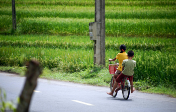 Ce đạp, bicycle, đạp xe, ride bicycle, cánh đồng lúa, rice field, đường, road, cột điện, utility pole - Q. Hưng Phạm