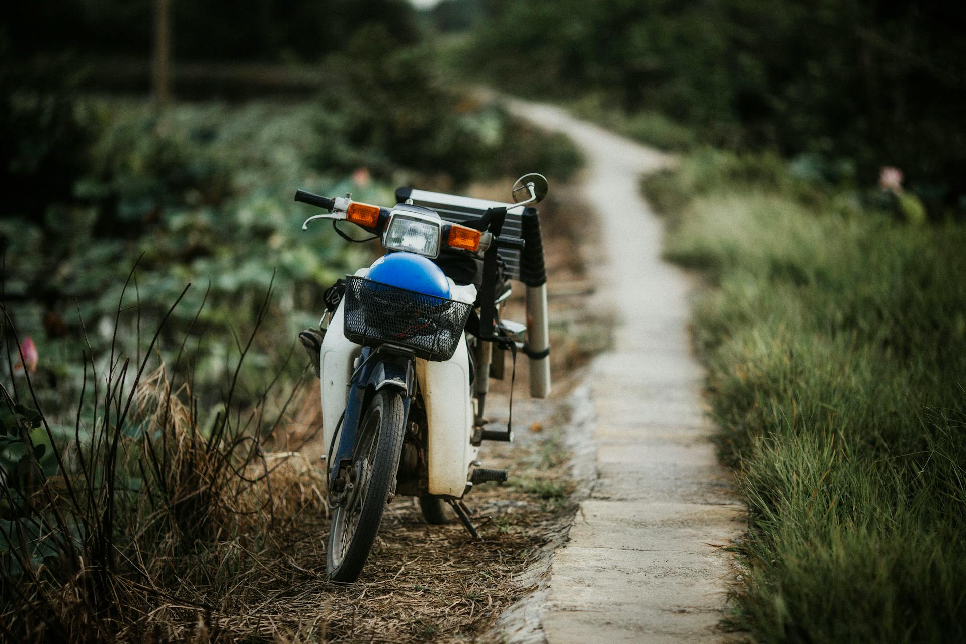 Xe máy, motorbike, Việt Nam, đồng cỏ, grassland, đường đất, dirt road, thiên nhiên - Thanh Nguyễn