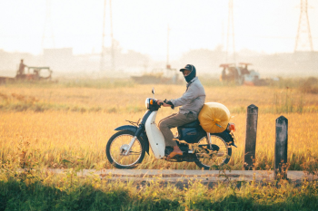 Xe máy, motorbike, Việt Nam, đi xe máy, ride motorbike, người đàn ông, man, cánh đồng lúa, rice field, nông thôn, rural - Vũ Bụi