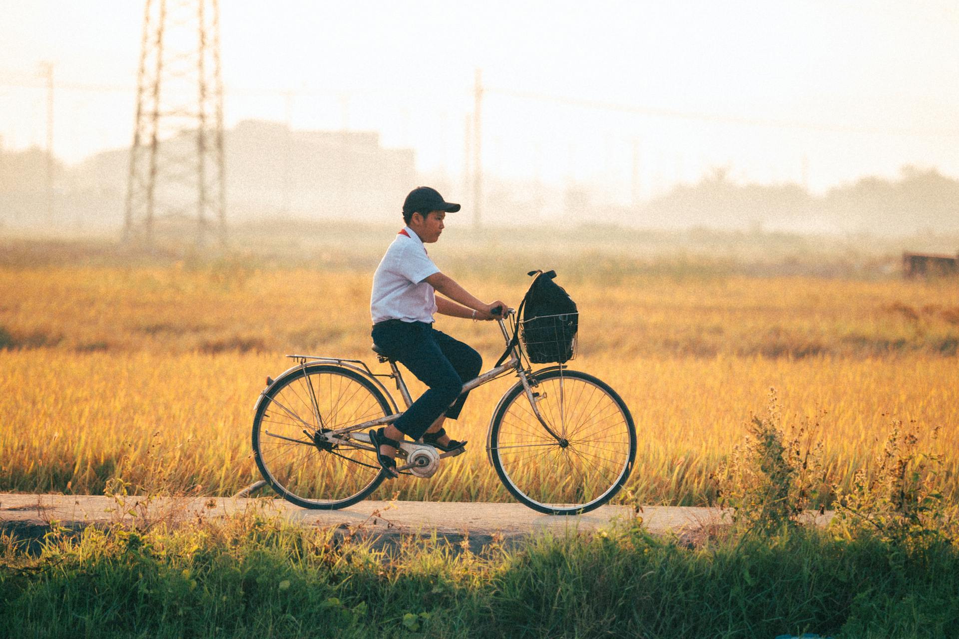 Xe đạp, bicycle, đạp xe, Việt Nam, ride bicycle, học sinh, student, cánh đồng lúa, rice field, nông thôn, rural - Vũ Bụi