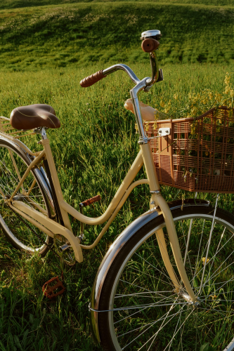 Xe đạp, xe đạp thể thao, xe, bike, thể thao, sport - Ron Lach