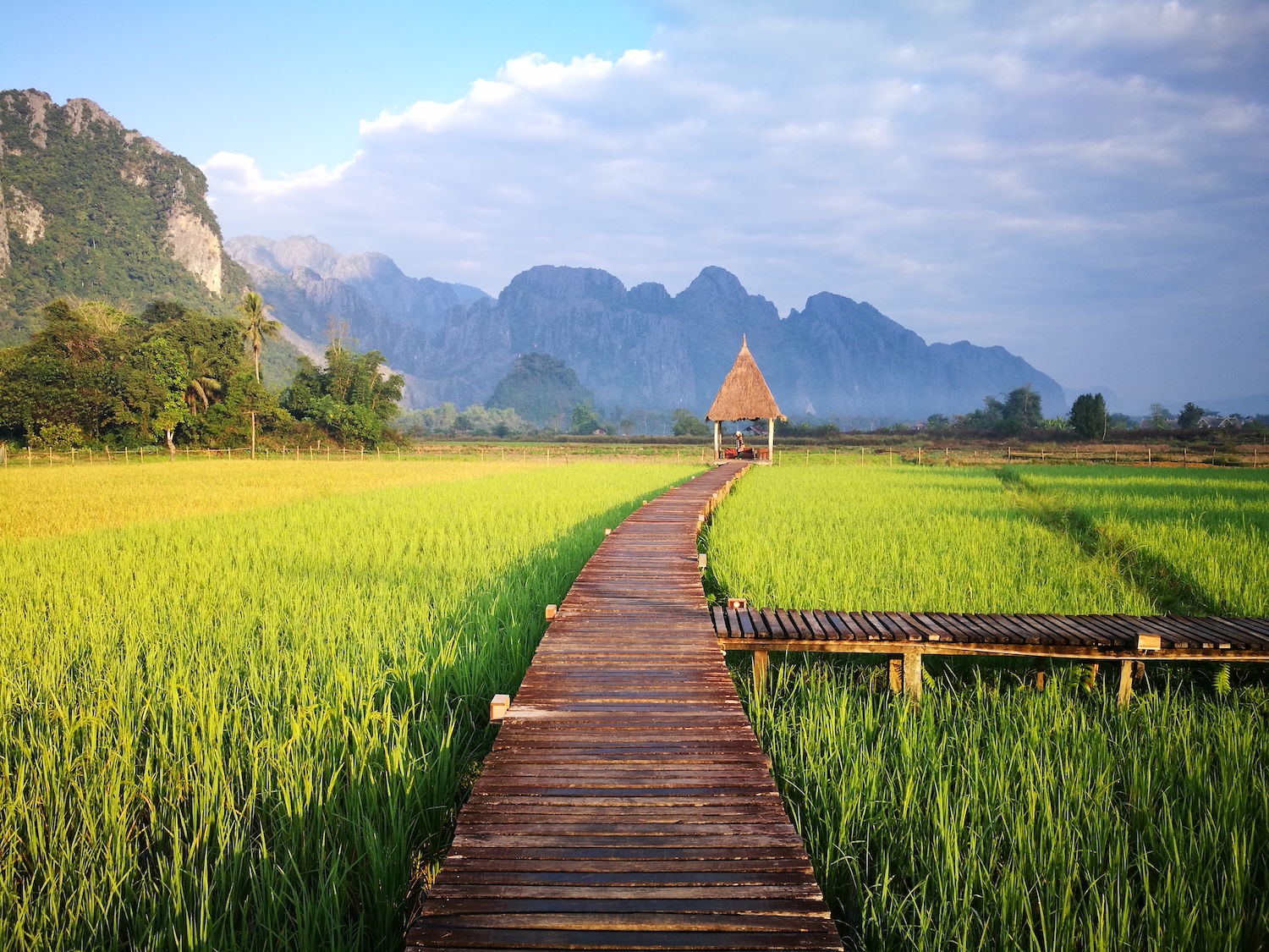 Cánh đồng, rice field, wooden bridge, cầu gỗ, mountain view, phong cảnh núi, green nature, thiên nhiên xanh, peaceful hut, chòi lá - Bilai