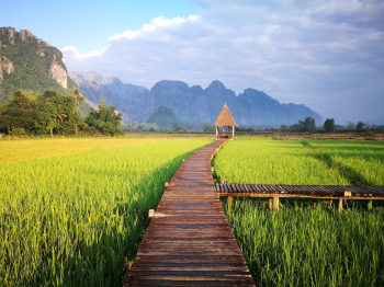 Cánh đồng, rice field, wooden bridge, cầu gỗ, mountain view, phong cảnh núi, green nature, thiên nhiên xanh, peaceful hut, chòi lá - Bilai