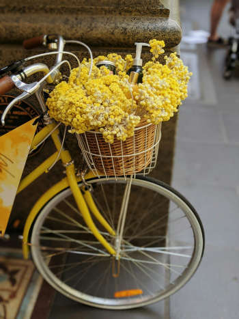 Xe đạp, xe đạp thể thao, xe, bike, thể thao, sport - Valeriia Miller