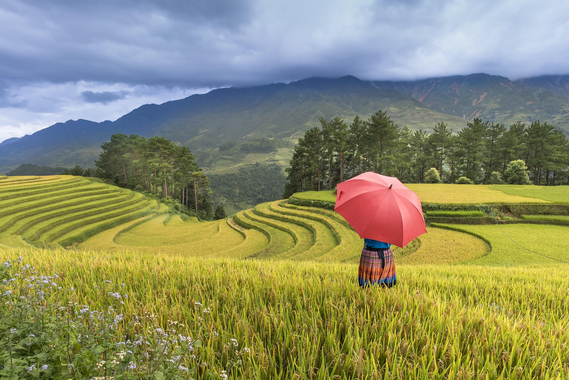 Ruộng bậc thang, đồng bào dân tộc, bản làng, terraced fields, ethnic minorities, villages - Quangpraha
