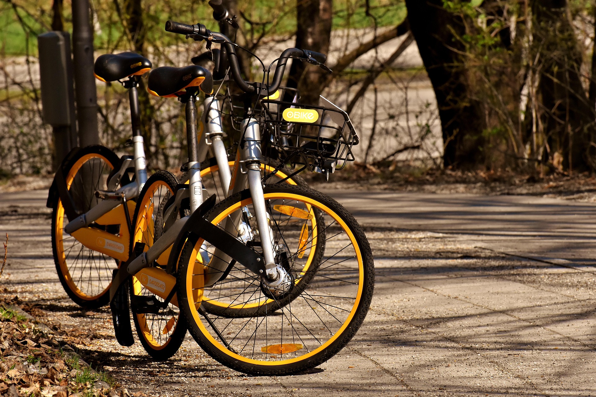 Xe đạp, xe đạp thể thao, xe, bike, thể thao, sport - Alexas_Fotos
