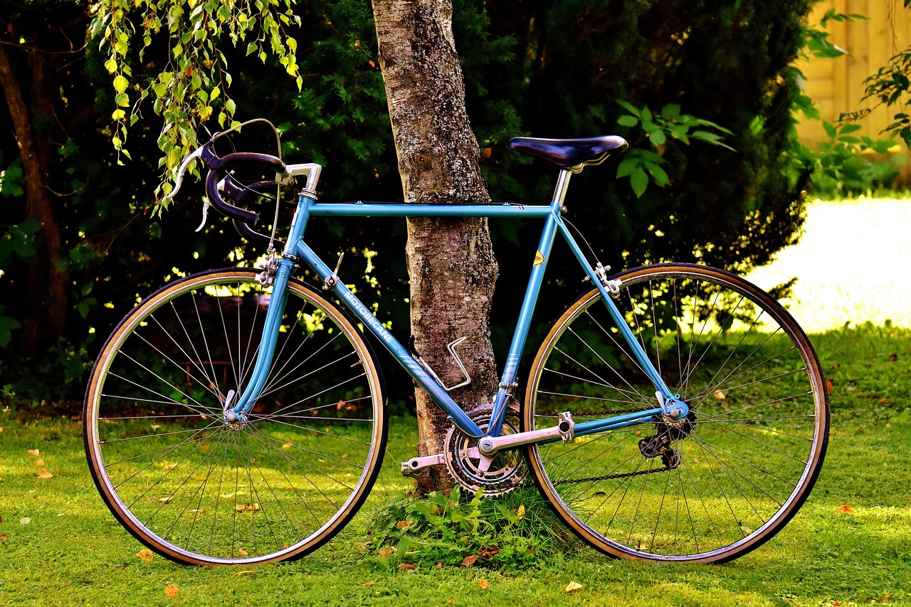 Xe đạp, xe đạp thể thao, xe, bike, thể thao, sport - Alexas_Fotos 1