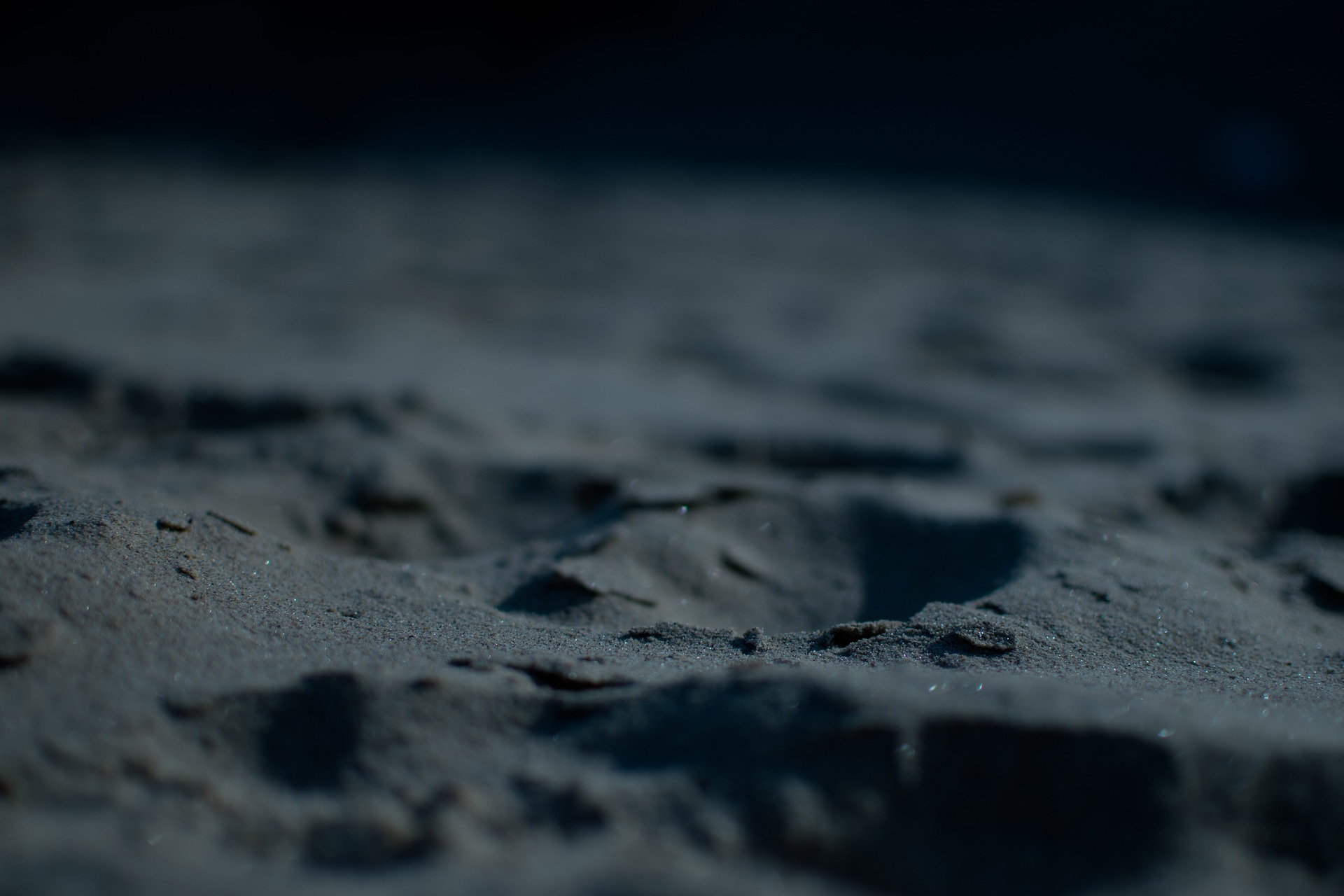 Cát, bãi cát, sand, sandy beach - Pexels