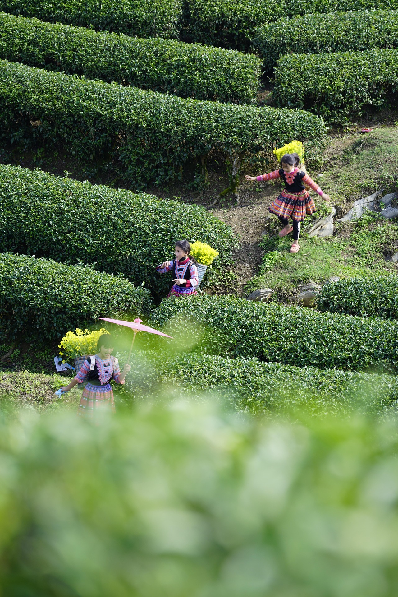 Trẻ em, em bé, dân tộc, miền núi, vùng cao, baby, children, ethnic groups, mountainous areas, highlands -chienba 7