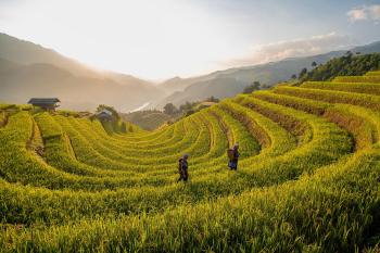 Ruộng bậc thang, miền núi, vùng cao, terraced fields, mountainous areas, highlands -TieuBaoTruong