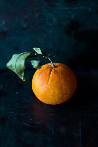 Quả quýt, trái quýt, thực vật, mandarine, plants - Pexels 1