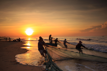 Kéo lưới, đánh cá, làng chài, ngư dân, biển, dragnet, fishing, fishing village, fisherman, sea - Quangpraha