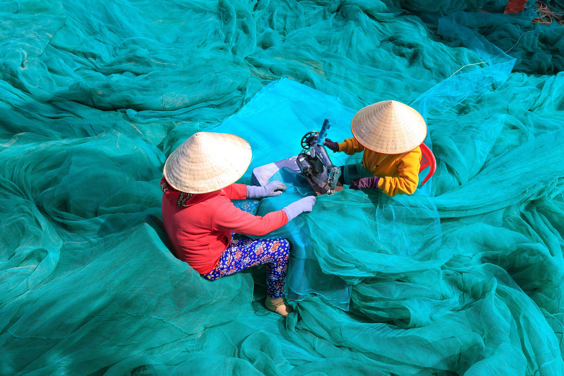 Kéo lưới, đánh cá, làng chài, ngư dân, biển, dragnet, fishing, fishing village, fisherman, sea - Quangpraha 9