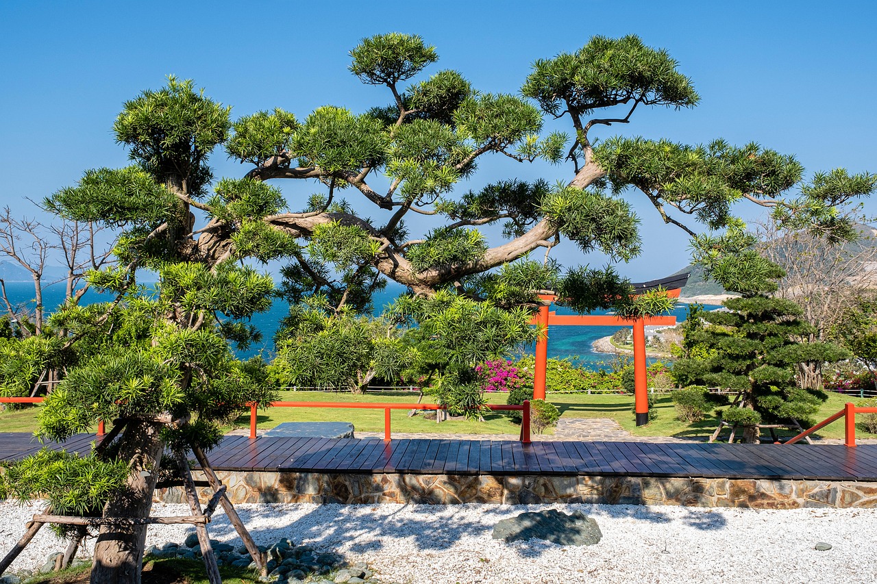 Cây, tree, bonsai, thực vật, plants-TieuBaoTruong 3