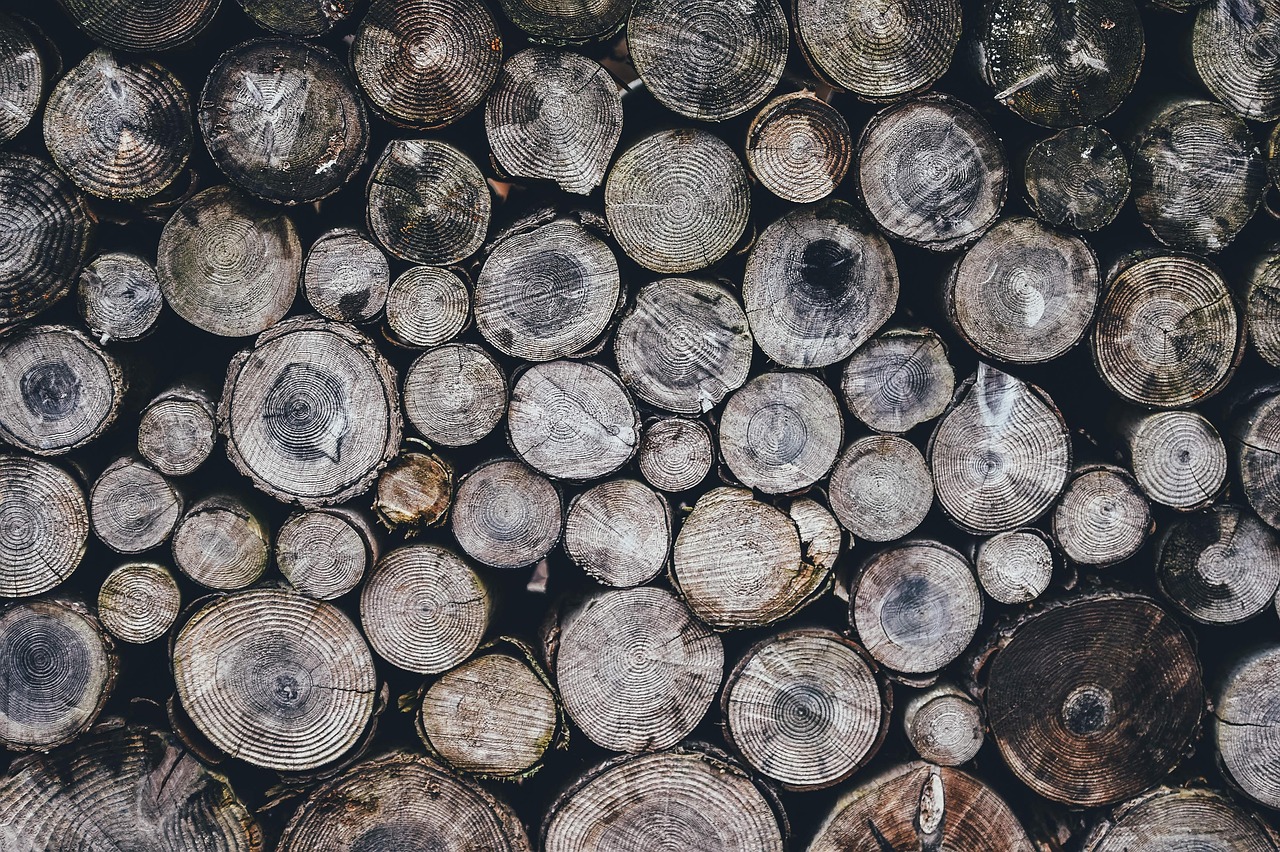 Gỗ, củi, xếp chồng, wood, firewood, stacking - Pexels 1