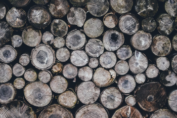 Gỗ, củi, xếp chồng, wood, firewood, stacking - Pexels 1