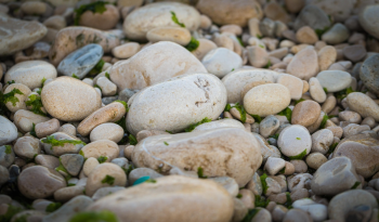 Đá, sỏi,  gravel, stone - Pexels