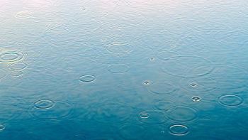 Vũng nước, water,water, nước, ripple, gợn sóng, rain, mưa, surface, bề mặt, calm - jplenio