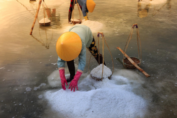 Làm muối, làng muối, người dân, salt making, salt village, people- Quangpraha 4
