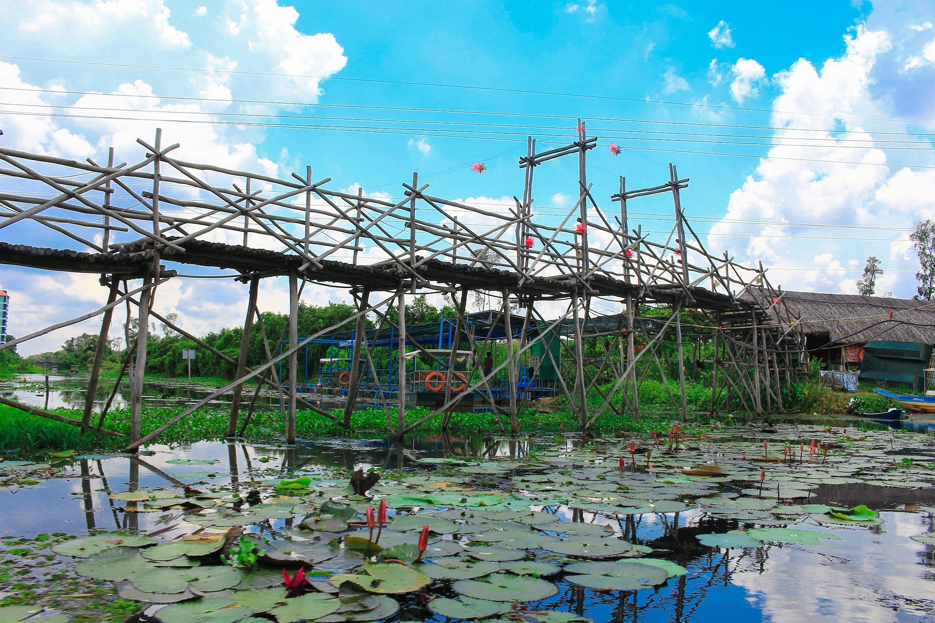 Hồ, đầm sen, cây cầu, cầu gỗ, bridge, wooden bridge, lake, lotus pond, - nguyenvanmenkc 1