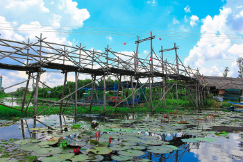 Hồ, đầm sen, cây cầu, cầu gỗ, bridge, wooden bridge, lake, lotus pond, - nguyenvanmenkc 1