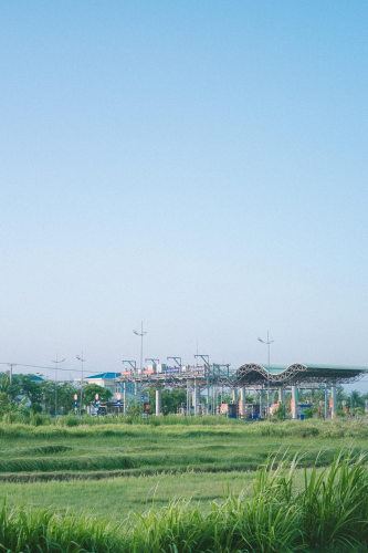 Cánh đồng, bầu trời, field, sky -Vien_beos