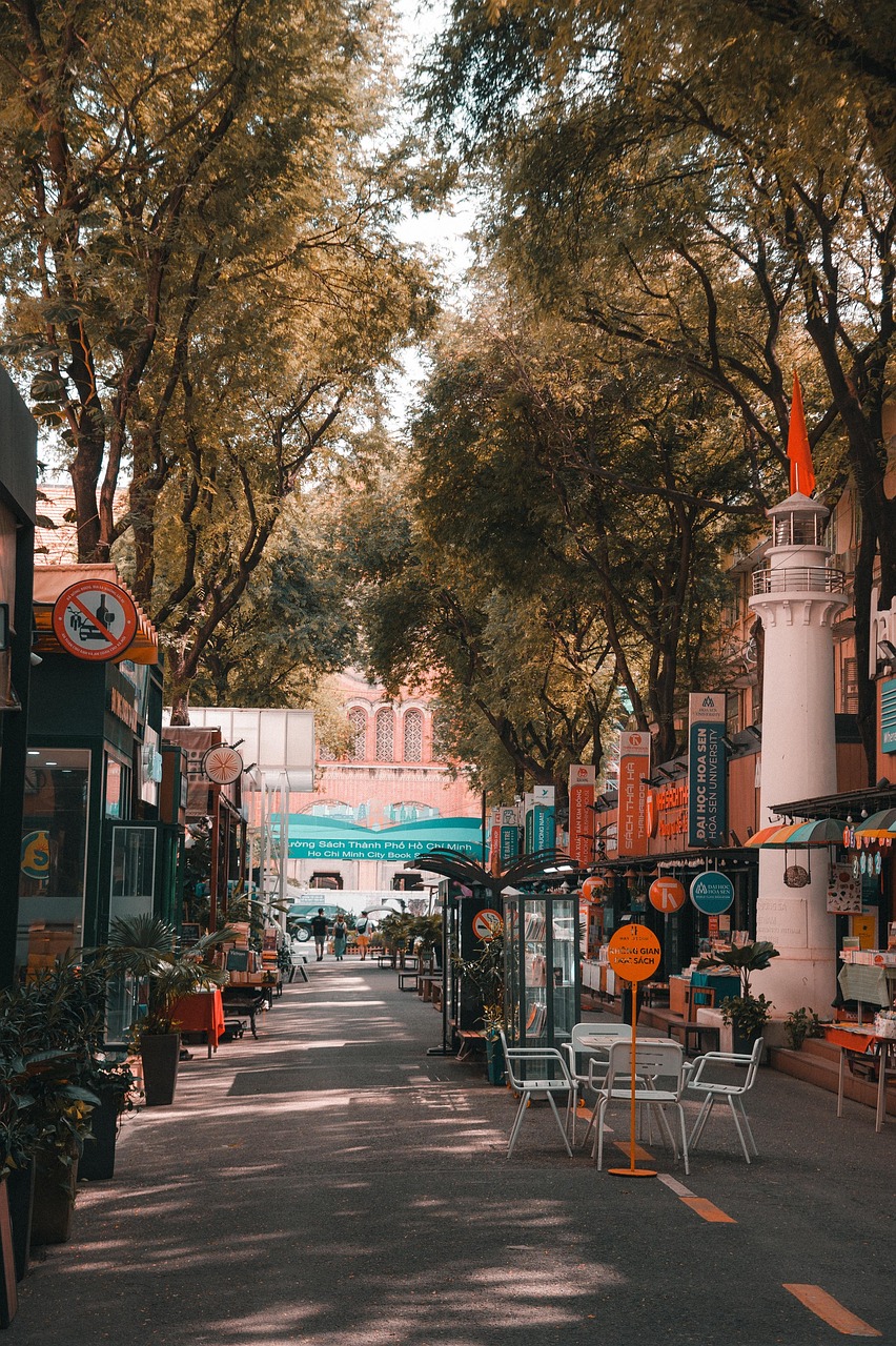 Tòa nhà, building, quốc kỳ, Việt Nam, thành phố, city, Hồ Chí Minh, đường phố, street- Vien_beos 3