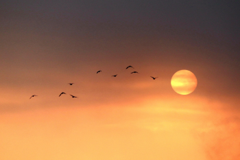 Bầu trời, bình minh, mây, sky, sunrise, cloud- Tho-Ge 1