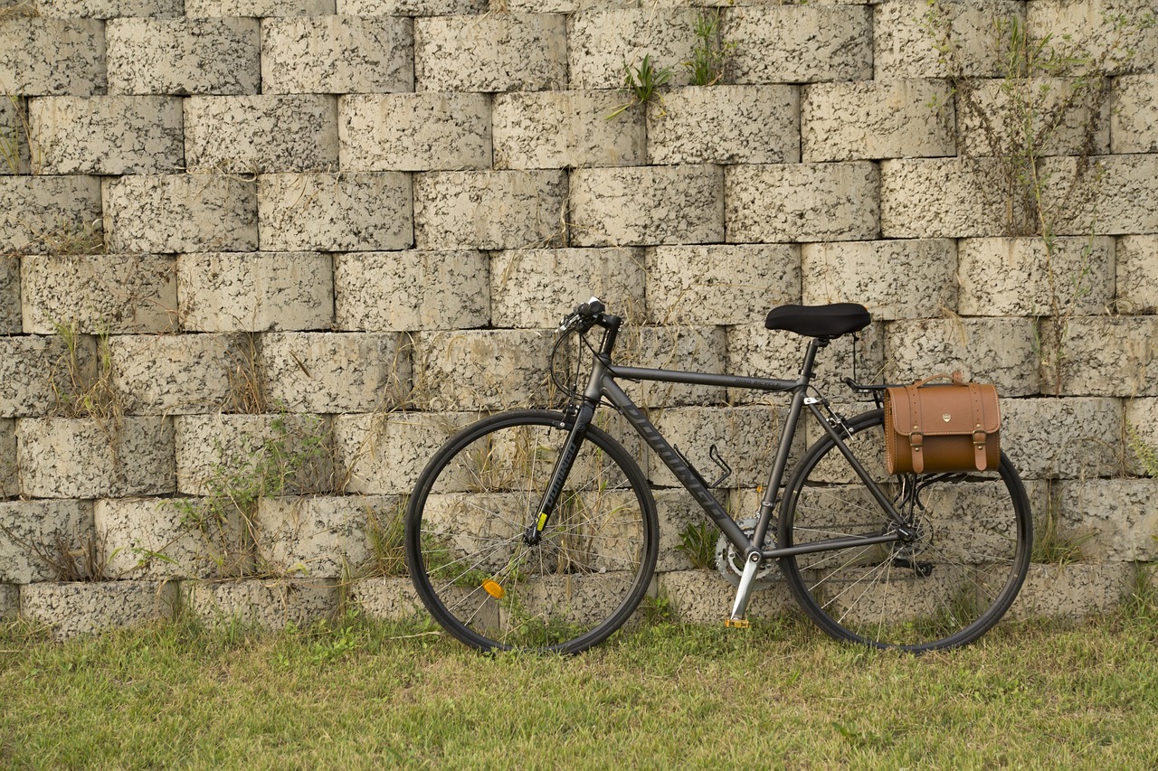 Xe đạp, xe đạp thể thao, xe, bike, thể thao, sport - taehwan_kim 3