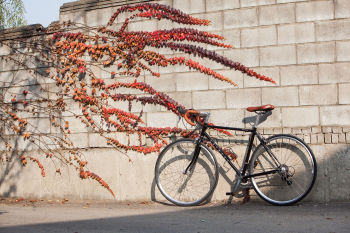 Xe đạp, xe đạp thể thao, xe, bike, thể thao, sport - taehwan_kim 2