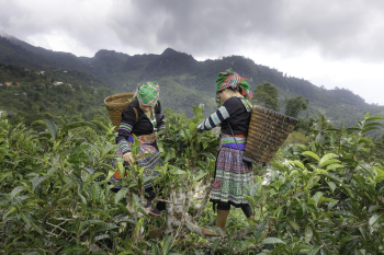 Ruộng bậc thang, đồng bào dân tộc, bản làng, terraced fields, ethnic minorities, villages - Quangpraha 1