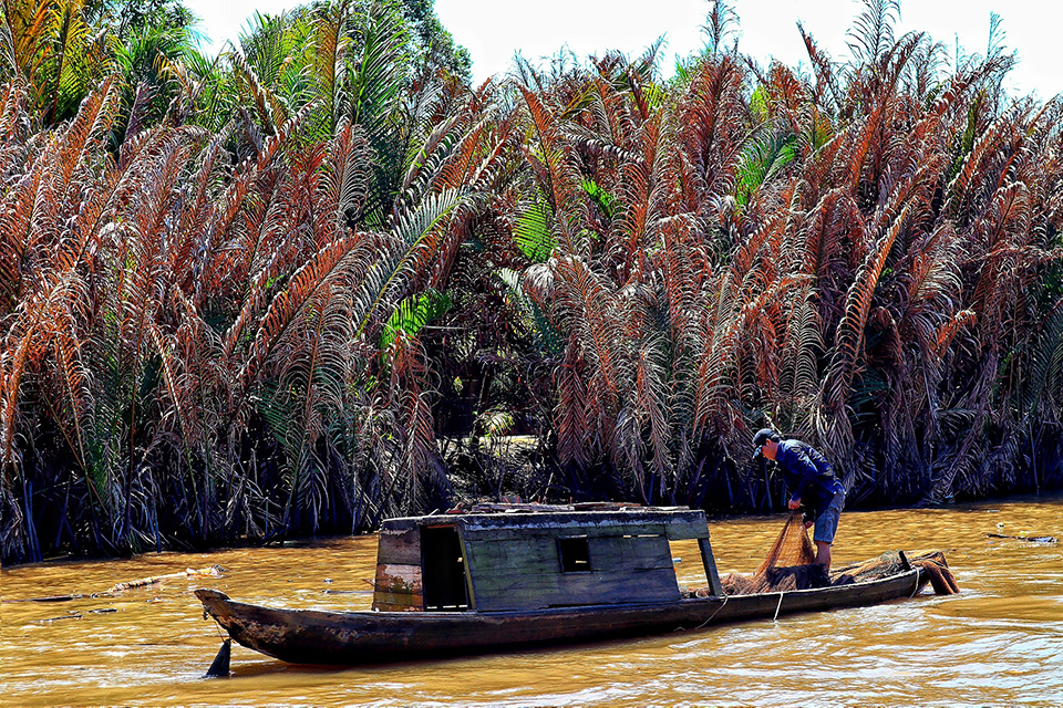 Miền tây, người dân, nông dân, thuyền, west, people, farmers, boats, Mekong- Tho-Ge 1