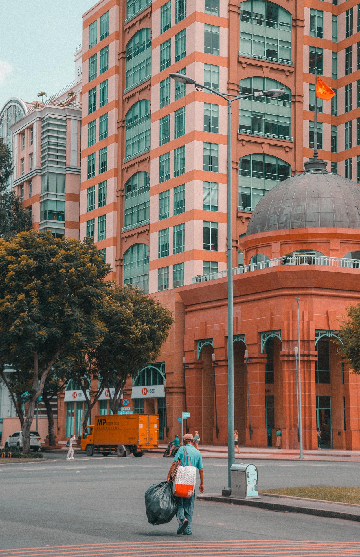 Tòa nhà, building, quốc kỳ, Việt Nam, thành phố, city, Hồ Chí Minh, đường phố, street- Vien_beos 1