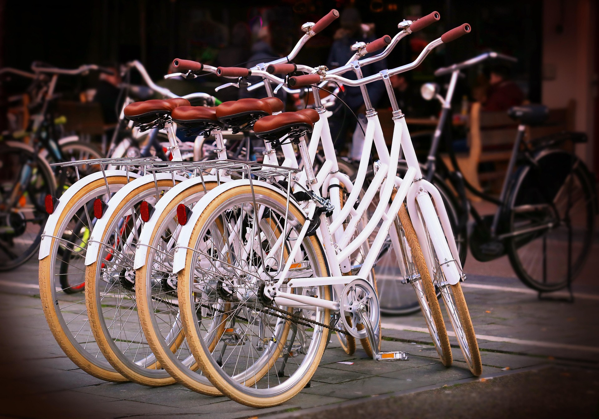 Xe đạp, xe đạp thể thao, xe, bike, thể thao, sport - yorgunum