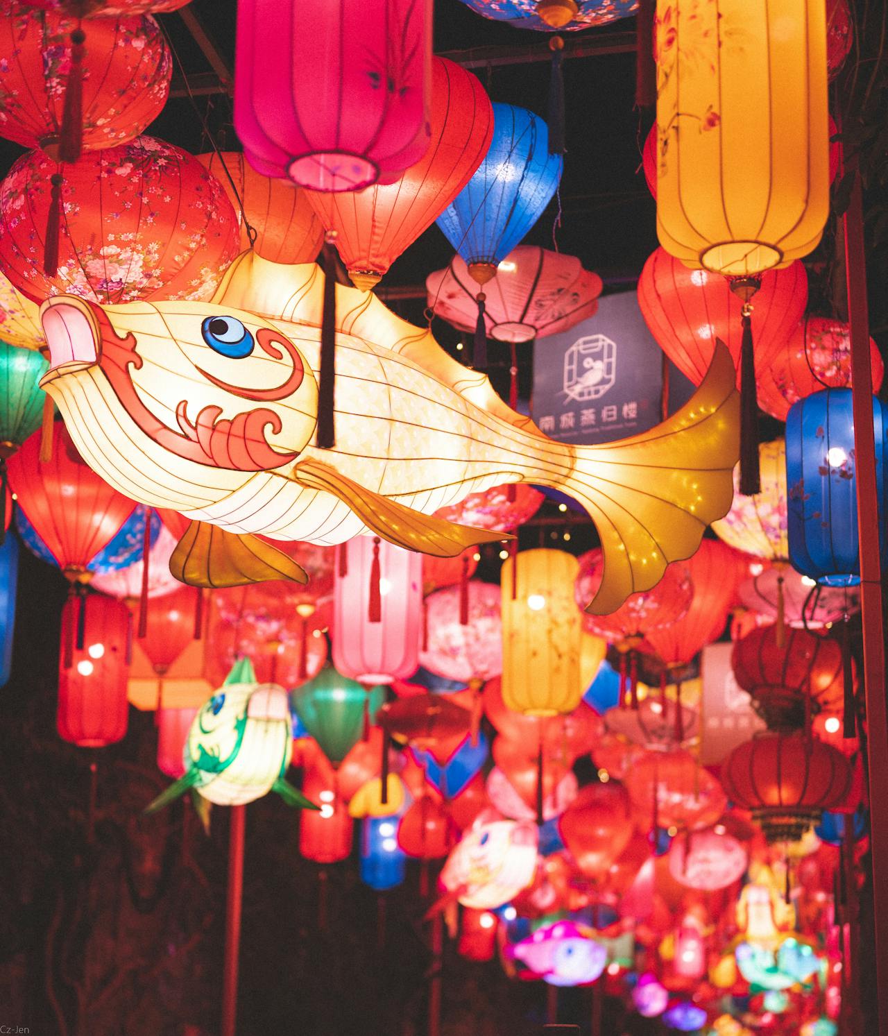 Trung thu, mid autumn, lồng đèn, lantern, ánh sáng, đèn lồng cá, festival lights, lễ hội truyền thống, traditional festival -  Cz Jen