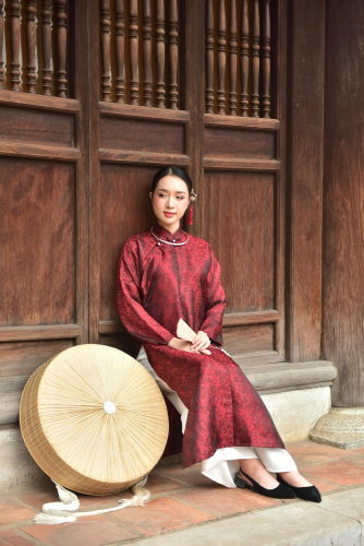 Cô gái, con gái, thiếu nữ, girl, Việt Nam, áo dài, nón quai thao, truyền thống, conical hat with chin strap, traditional - Felix Young 12