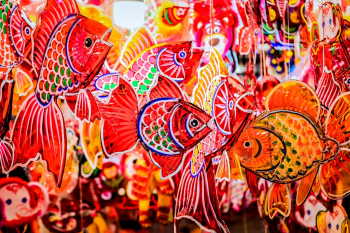 Trung thu, mid autumn, lồng đèn, lantern, ánh sáng, festival lights, lễ hội truyền thống, traditional festival -  Nguyen Ngoc Tien