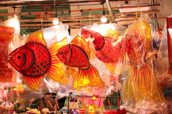 Trung thu, mid autumn, lồng đèn, lantern, ánh sáng, festival lights, lễ hội truyền thống, traditional festival - Tuan Vy 2