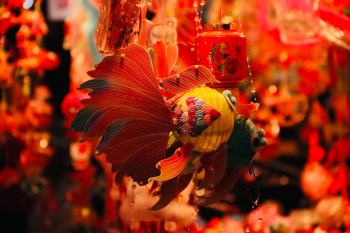 Trung thu, mid autumn, lồng đèn, lantern, ánh sáng, festival lights, lễ hội truyền thống, traditional festival - Tuan Vy