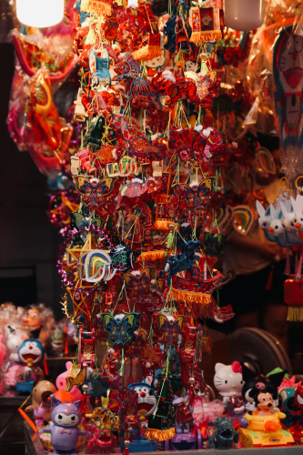 Lồng đèn, đèn lồng, đèn trung thu, trung thu, mid autumn, lễ hội, festival - Tuan Vy 4