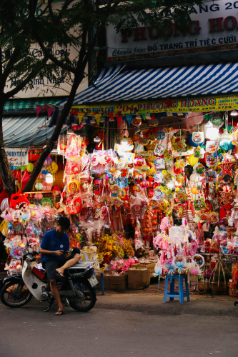 Lồng đèn, đèn lồng, đèn trung thu, trung thu, mid autumn, lễ hội, festival - Tuan Vy