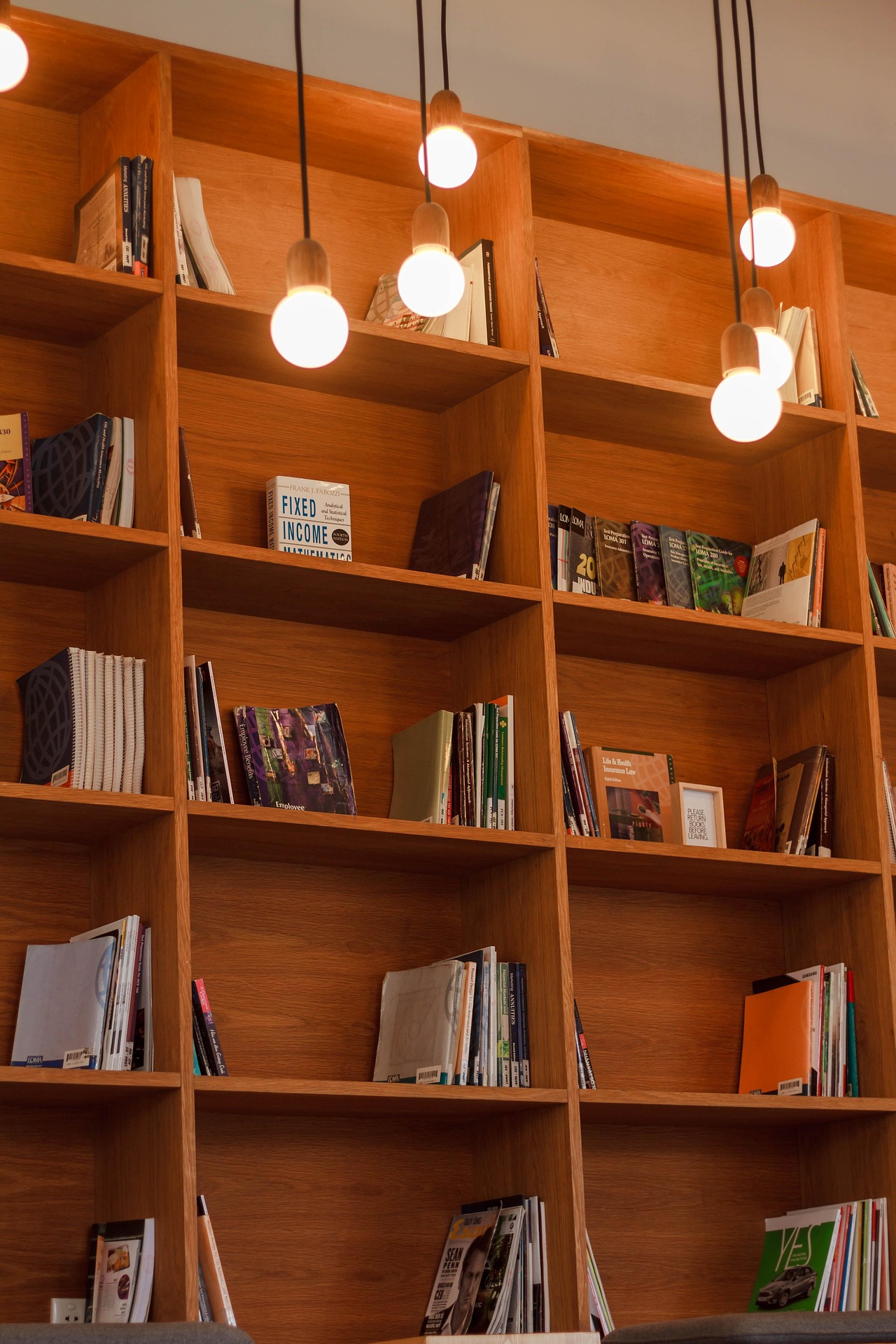 Sách, nhà sách, thư viện, kệ sách, books, bookstores, libraries, bookshelves-StockSnap 3