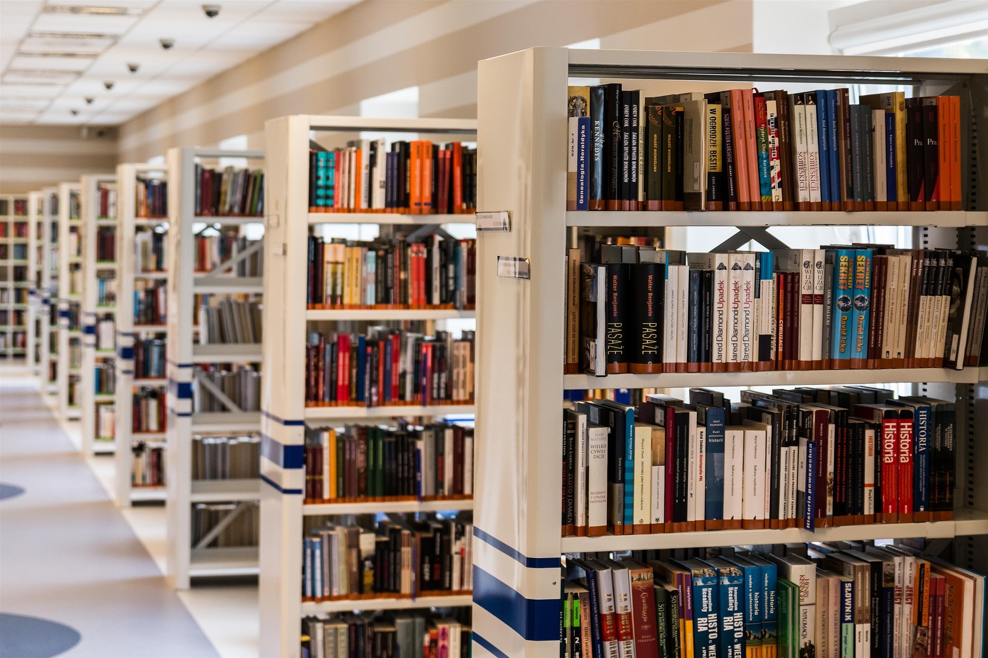 Sách, nhà sách, thư viện, kệ sách, books, bookstores, libraries, bookshelves- jarmoluk 4
