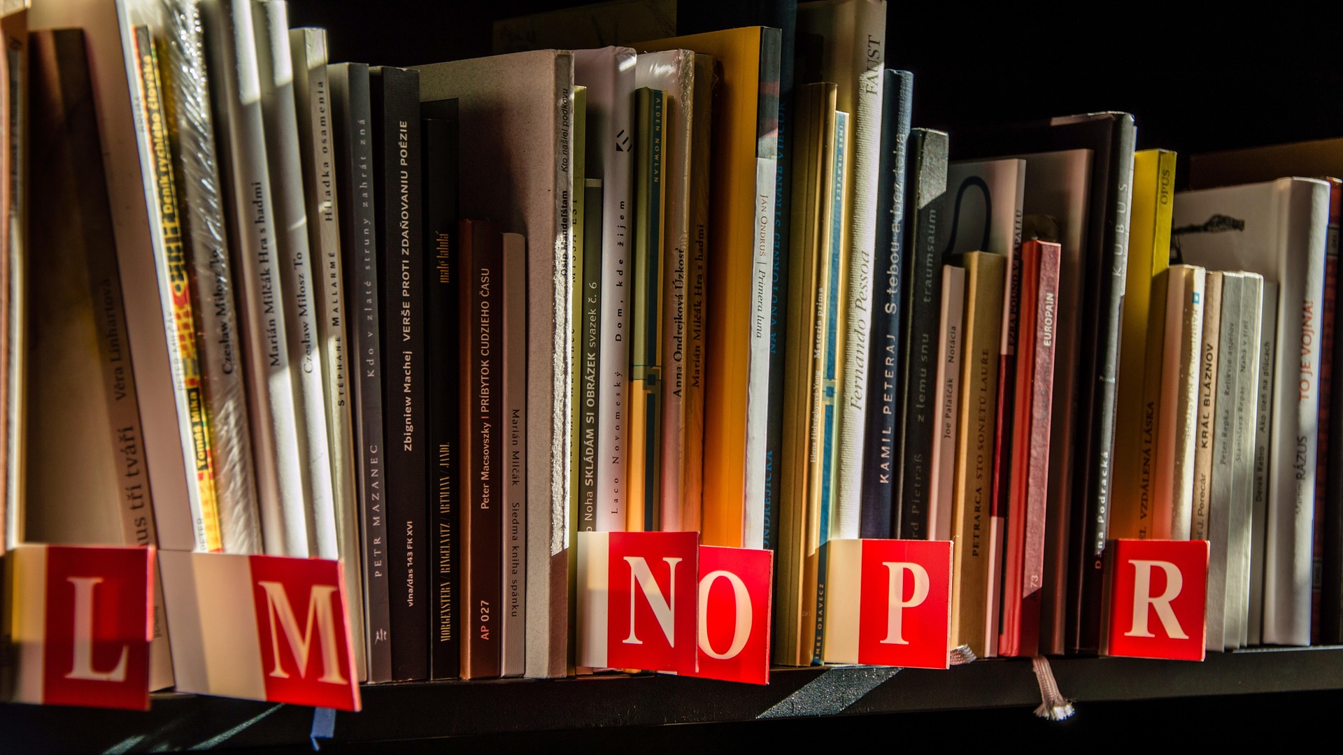 Sách, nhà sách, thư viện, kệ sách, books, bookstores, libraries, bookshelves- LubosHouska