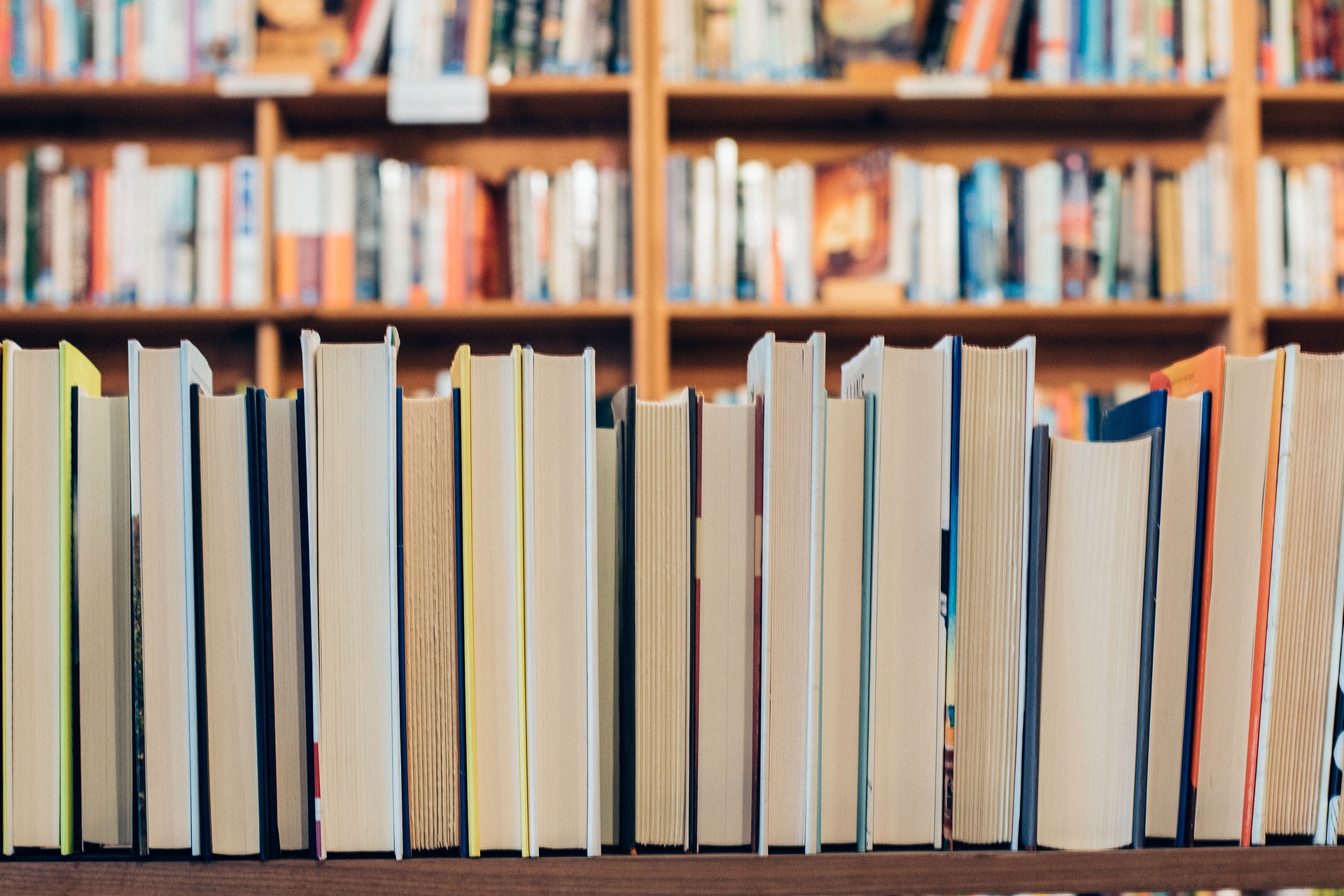 Sách, nhà sách, thư viện, kệ sách, books, bookstores, libraries, bookshelves-StockSnap 2