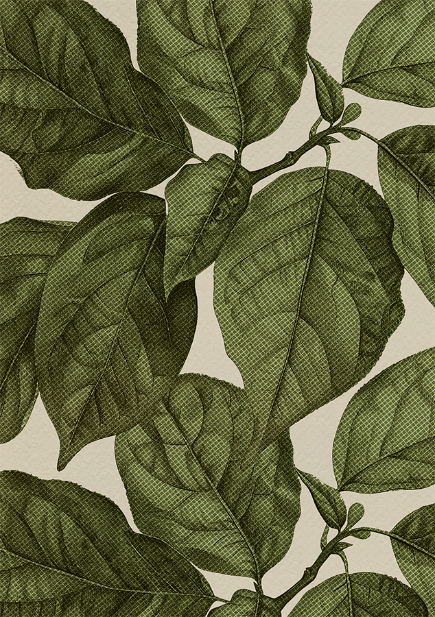 Lá, lá cây, leaves, cọ, brush, hình nền, nền, background