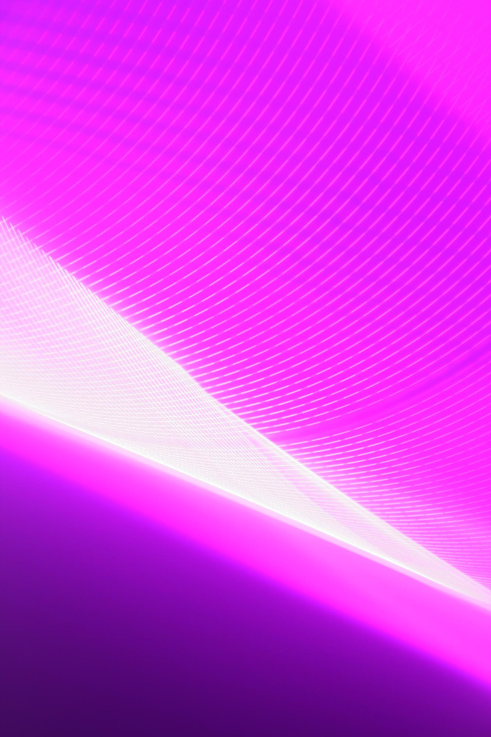 Purple background, hình nền màu tím, tím, purple, business background, business, future, light - kimhip 10